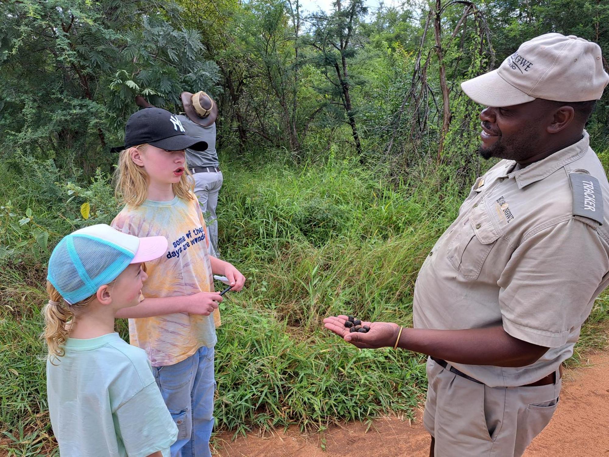 Karongwe River Lodge Karongwe Game Reserve ภายนอก รูปภาพ